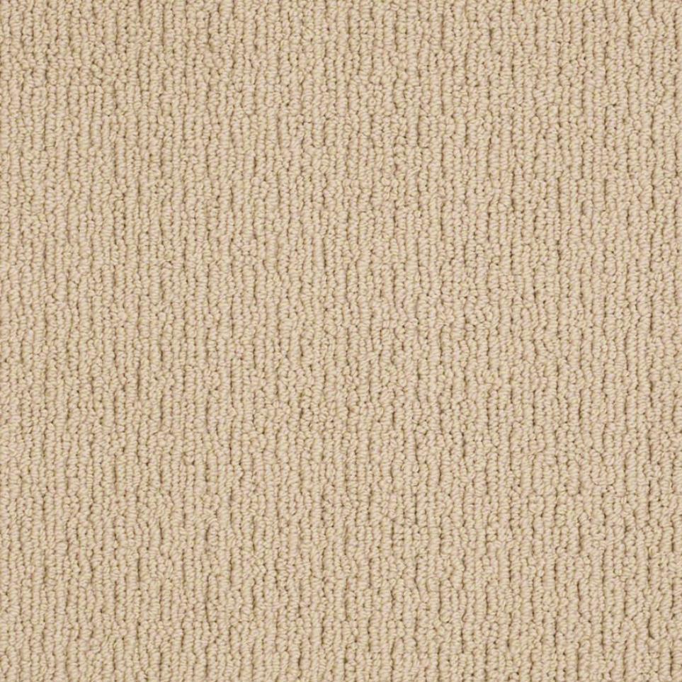 Chamois Zoomed Swatch