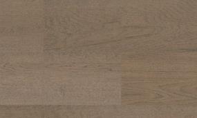 Expressions - Whimsy Swatch