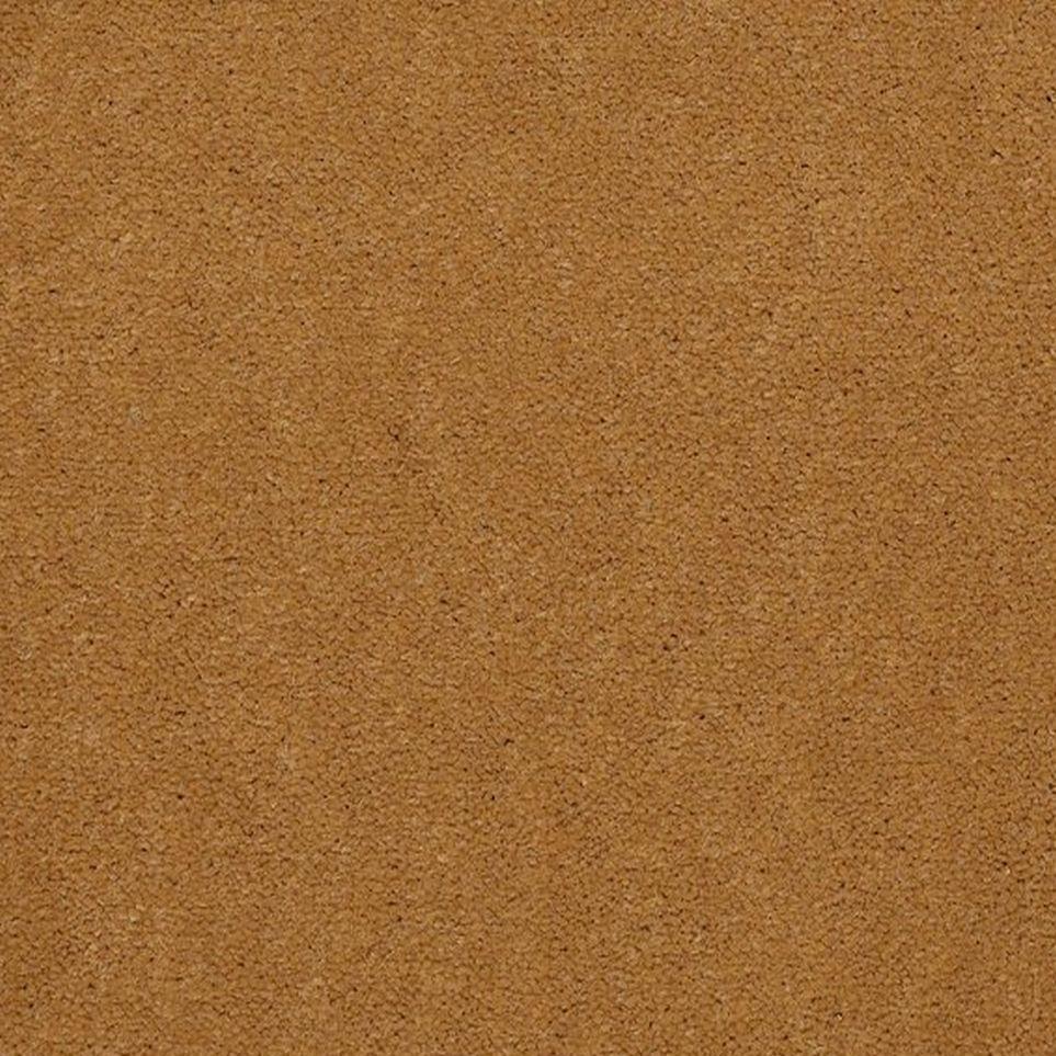 Beeswax Zoomed Swatch