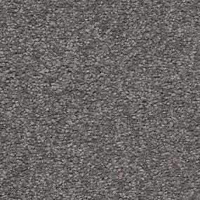 Somerset Bay - Graphic Swatch