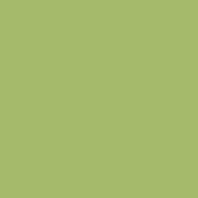 Lime Sherbet Matte Swatch Thumbnail