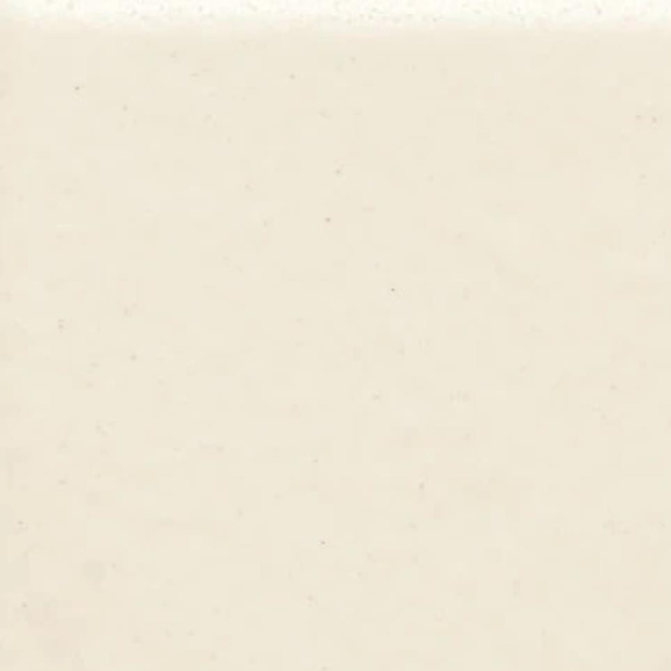 Biscuit Abrasive Zoomed Swatch