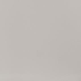 Light Gray Matte Swatch