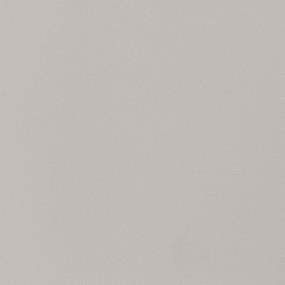 Light Gray Matte Zoomed Swatch