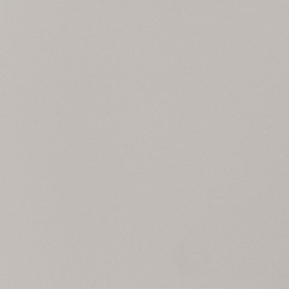 Light Gray Matte Zoomed Swatch